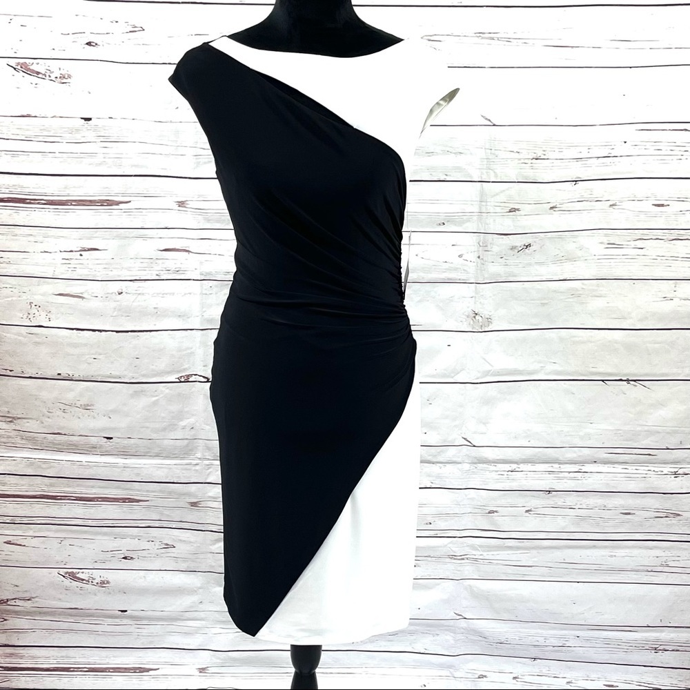 Lauren Ralph Lauren Women's Dress Sheath Jersey Coloblock‎ Size 4